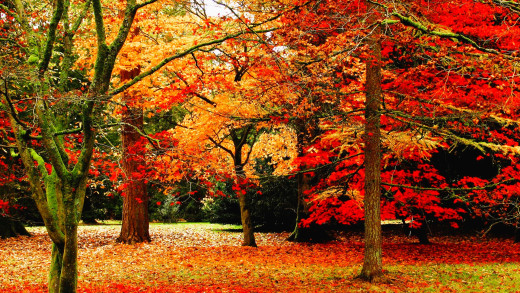 1755891 (a): :1920x1080